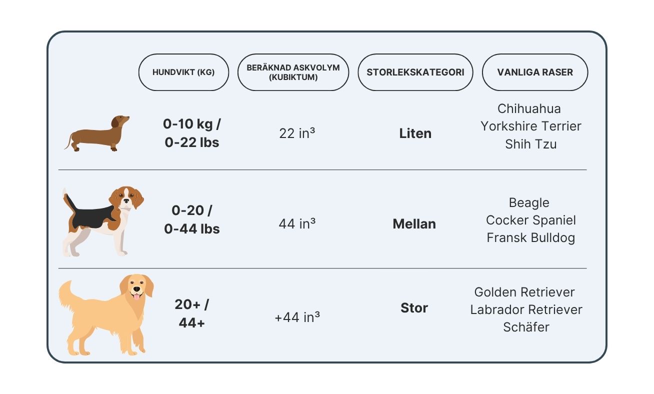 Storlekstabell för hundurnor som visar små, medelstora och stora kategorier baserat på vikt, askvolym och vanliga hundraser.